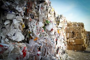 food industry waste